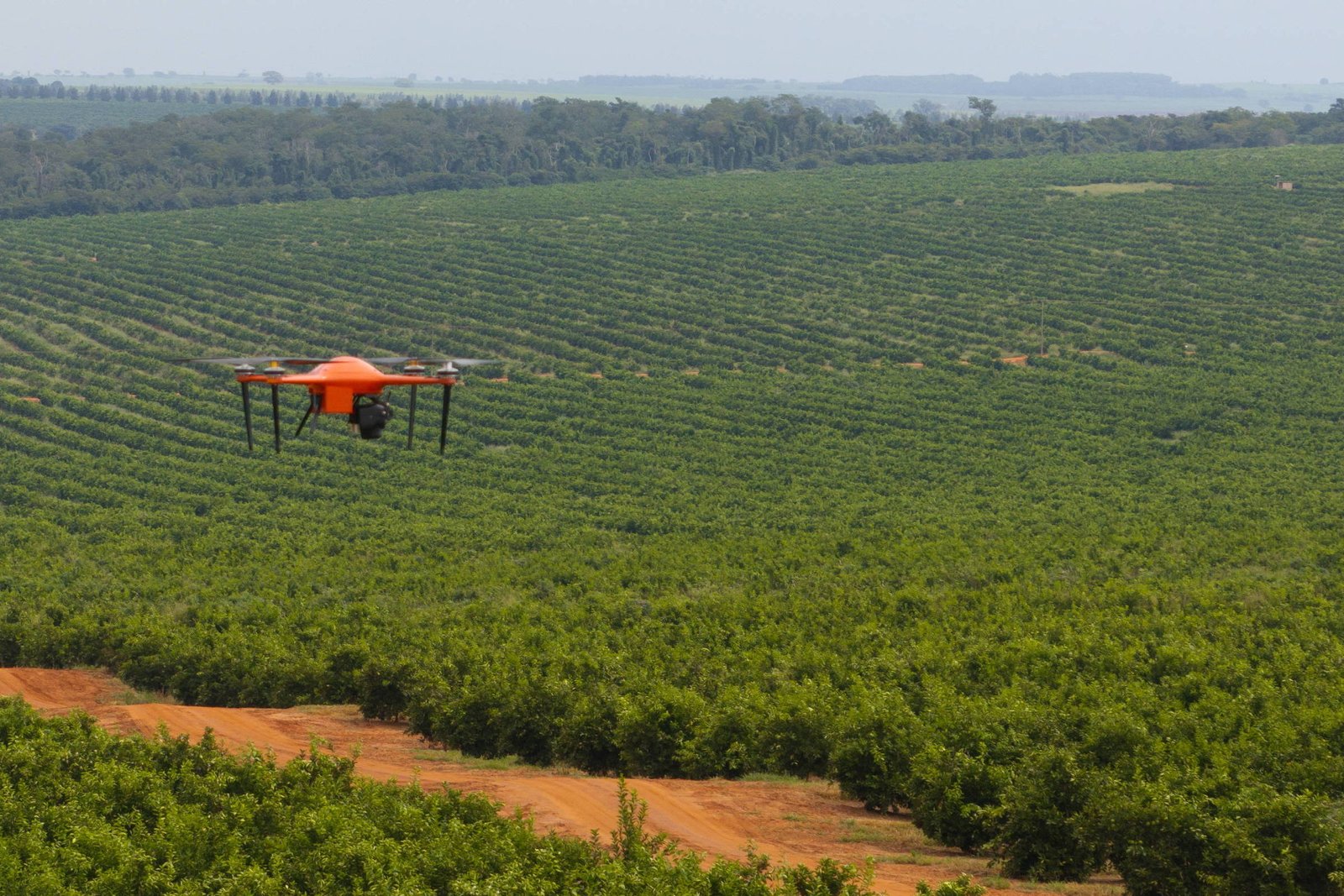 na-contramao-do-mercado-global,-exportacoes-de-suco-de-laranja-para-os-eua-crescem