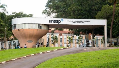 unesp-divulga-resultado-preliminar-das-olimpiadas-cientificas