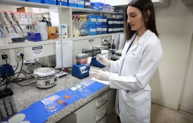 carne-de-laboratorio:-conheca-a-tecnica-desenvolvida-pela-embrapa
