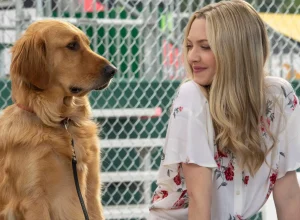 filmes-incriveis-para-assistir-com-seu-cachorro